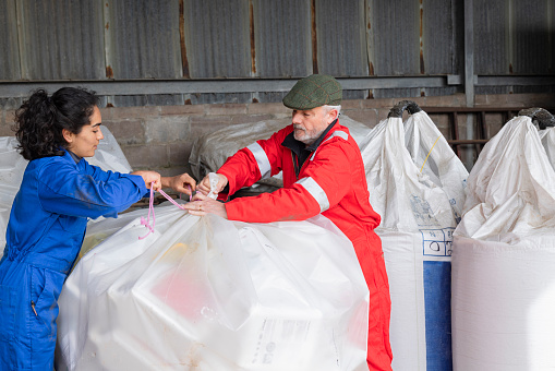 Two  British farm workers, male and female work together to tie a knot in a large plastic bag filled with recyclable plastic used in farming. They are both wearing overalls and concentrating on the task at hand. Male teaching the female trainee importance of recycling and care of the environment.