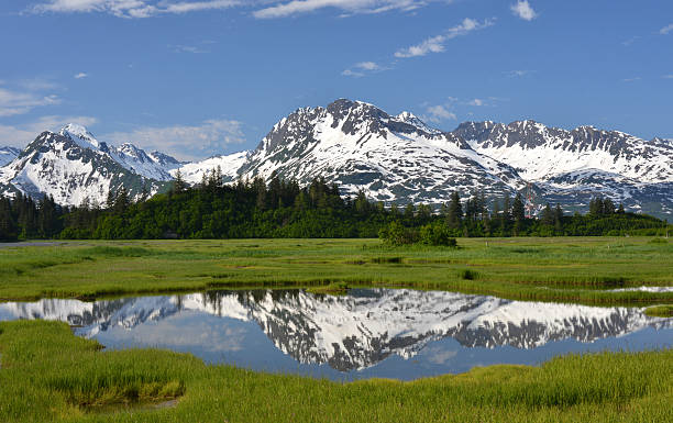 Chugach Mountains, Alaska View of the Chugach Mountains still covered with a snow, reflecting in a tidal pool. Picture taken on an exceptionally beautiful June afternoon from the Edgerton Highway in Valdez, Alaska, USA. chugach national forest photos stock pictures, royalty-free photos & images
