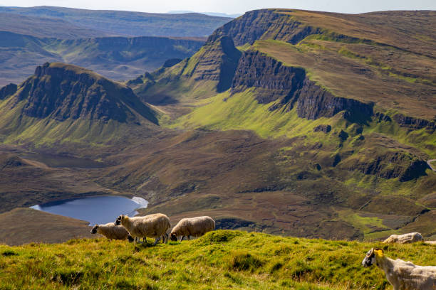 istock Trail in The Quiraing 1475330075