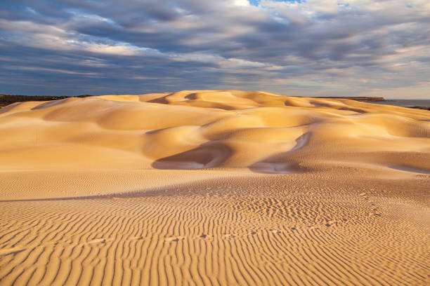 istock Pristine remote desert sand dunes by the coast 1475330709