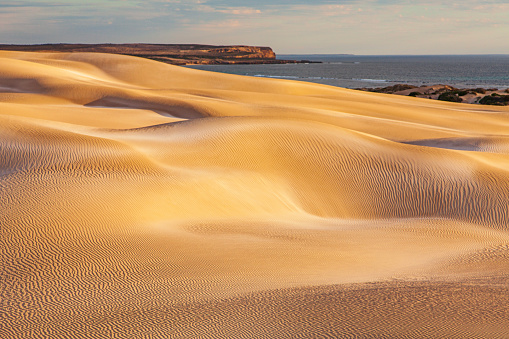 Pristine remote desert sand dunes by the coast photographed in afternoon light. South Australia.