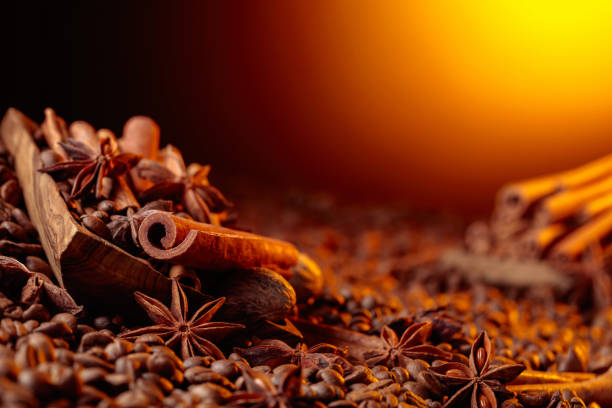 Roasted coffee beans with cinnamon sticks, anise, and nutmeg. Selective focus. Copy space.