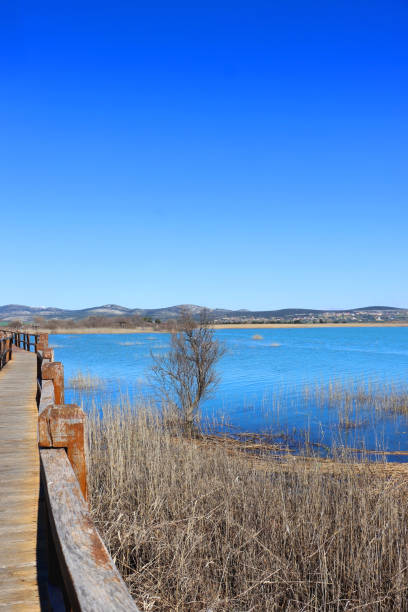 istock Lake Vrana Promenade 1475332984