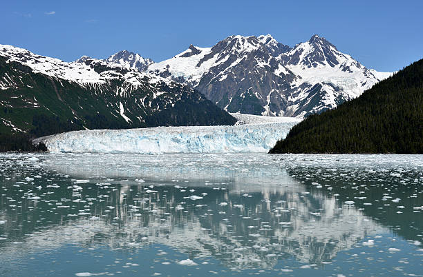 Meares Glacier, Alaska View of Meares Glacier in Prince William Sound, Chugach Mountains, Alaska. Picture taken from a cruise boat entering the Chugach National Forest from Valdez. chugach national forest photos stock pictures, royalty-free photos & images