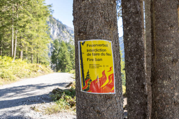 istock Fire ban, global warming. A flyer on a pine tree in summer in switzreland 1475335603
