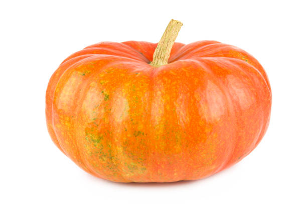 istock Orange big Pumpkin isolated on white. 1475342241