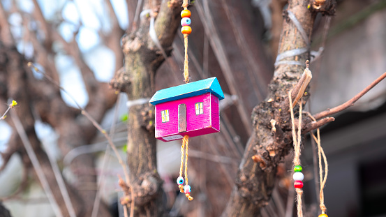 Tiny colorful wooden house hanging on wishing tree, blurred background, with spaces