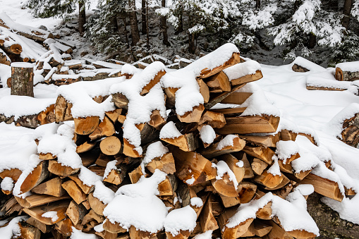 Chopped logs covered in snow