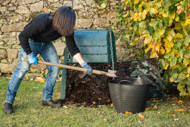 istock A man is digging and loading ready compost from a outdoor compost bin to use in the garden. Concept of recycling and sustainability 1475343977