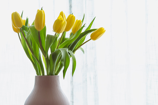 Vertical close up of bright spring interior flowers of yellow, white and orange tones in vases on wood table against white wall