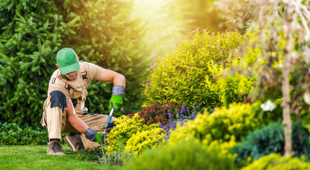 istock Professional Landscaper Performing Backyard Garden Maintenance 1475348054