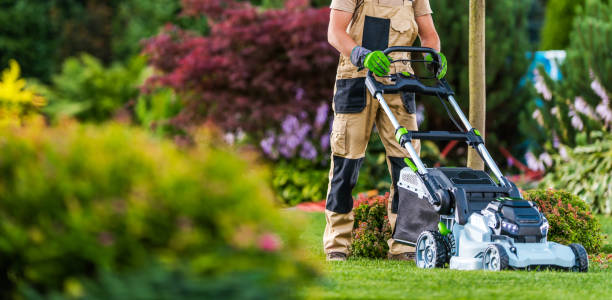 istock Summer Time Lawn Mowing in Colourful Blooming Garden 1475348178