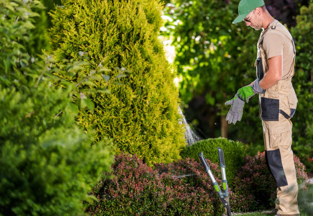 istock Garden Worker Preparing Himself For the Job Wearing Protective Gloves 1475350314