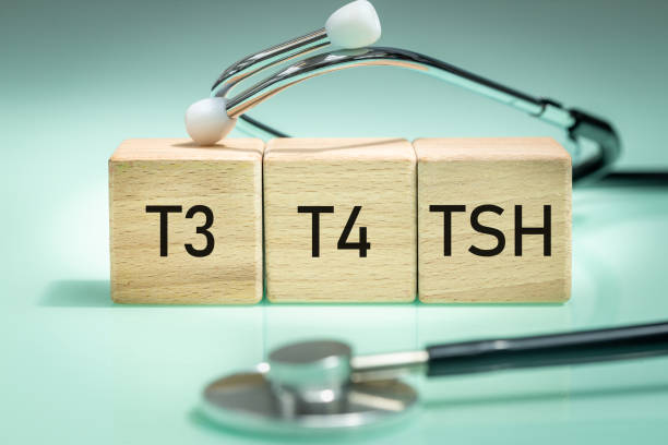 TSH, diagnosis of thyroid diseases, medical examination of t3 and t4, production and secretion of hormones, hypothyroidism or hyperthyroidism, Wooden blocks with text. Regular health examination TSH, diagnosis of thyroid diseases, medical examination of t3 and t4, production and secretion of hormones, hypothyroidism or hyperthyroidism, Wooden blocks with text. Regular health examination thyroid disease stock pictures, royalty-free photos & images