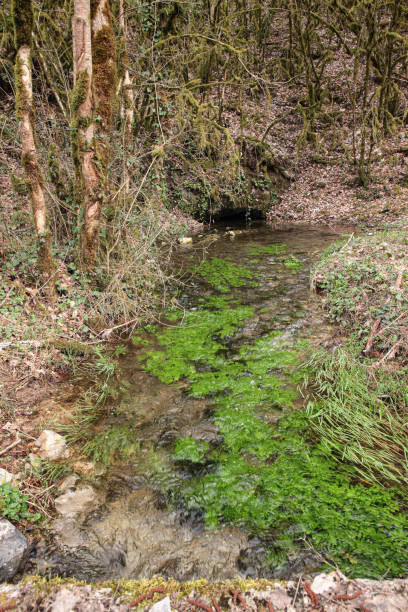 istock Promenade au bord de l'eau 1475352424