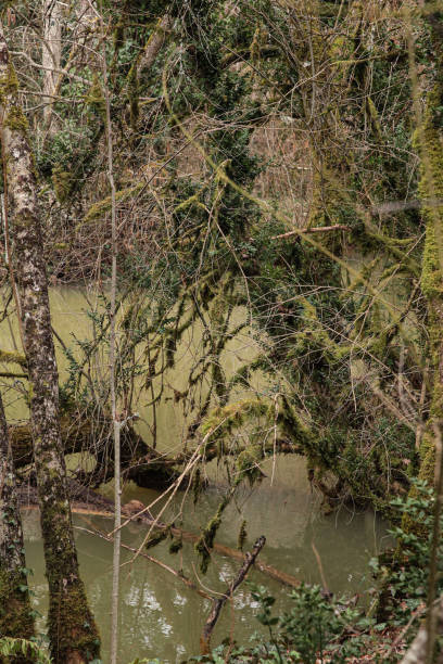 istock Promenade au bord de l'eau 1475353015