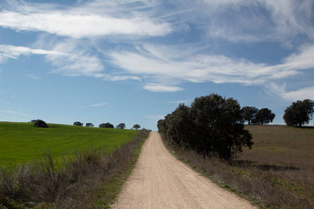 istock landscape road and farm field 1475353346