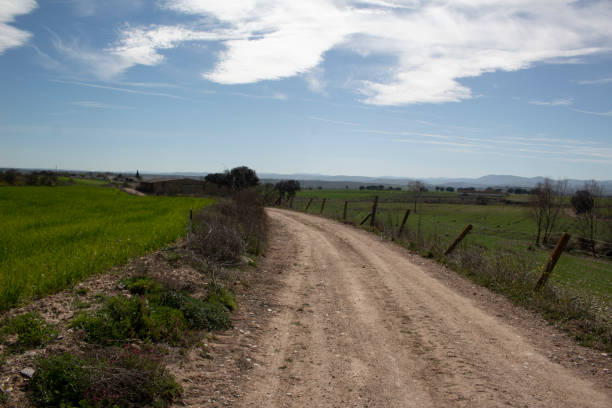 istock landscape road and farm field 1475353348