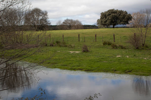 istock Nature landscape of a field with water 1475353907