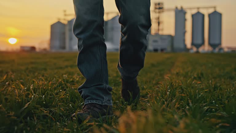 SLO MO Farmer walks in the middle of the meadow with silos in the background