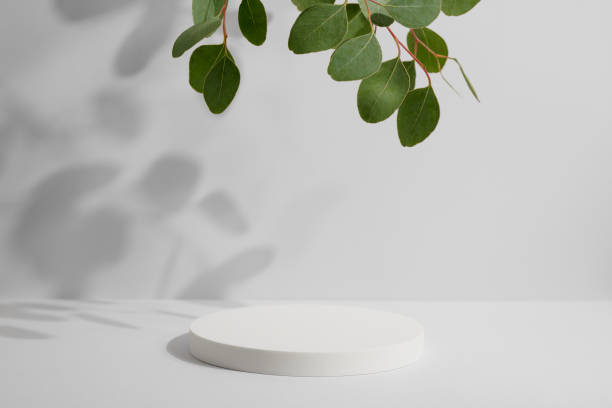 istock Empty white round podium and natural green eucalyptus branch with shadows on light grey background. Showcase for product presentation. Mockup for beauty cosmetic advertising. Minimal backdrop 1475354769