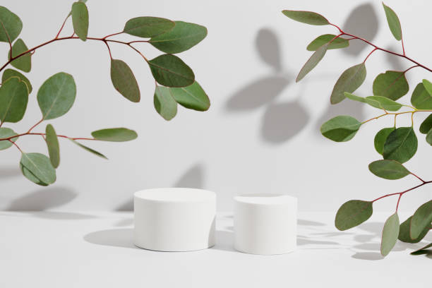 istock Two empty white cylinder shaped podium and natural green eucalyptus branch with shadows on light grey background. Pedestal or showcase for product presentation. Mockup for beauty cosmetic marketing 1475355986