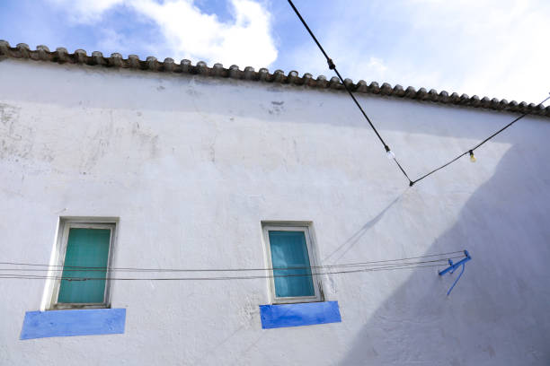 istock Typical vintage portuguese facade with blue windows 1475358404