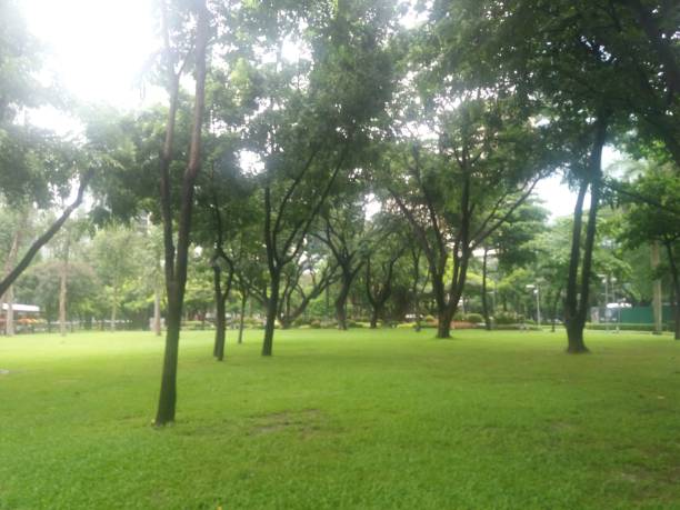 istock A beautiful park in Manila city 1475359386