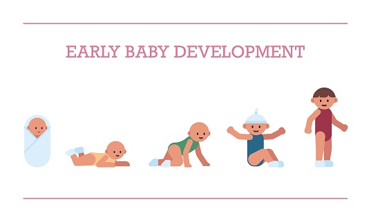 Baby Development Vector Early Baby Development Flat Vector Illustration Stock Illustration ...
