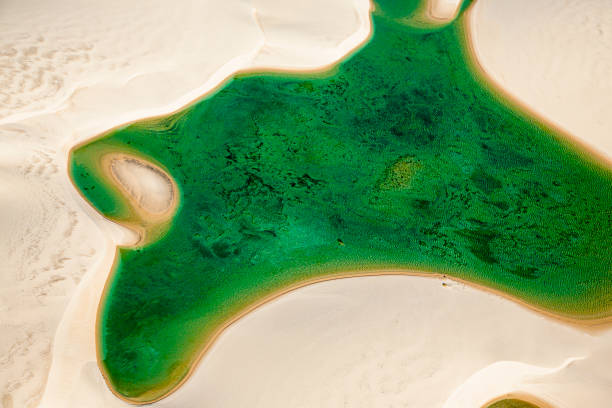 Lençóis Maranhenses National Park Aerial view of a lagoon at the Lençóis Maranhenses National Park - Maranhao - Brasil brazil desert maranhao state national park stock pictures, royalty-free photos & images