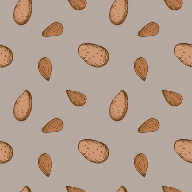 Vector illustration of Seamless repeating pattern with almond nuts on a gray background. A bunch of  nuts, dried almonds. Walnut collection, agriculture, organic farming, healthy food symbol. Drawn by hand. Vector