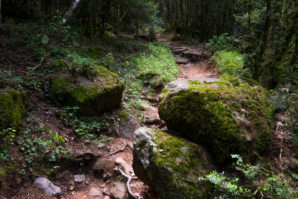 Ordesa and Monte Perdido Natural Park, Faja-Racón hiking route stock photo