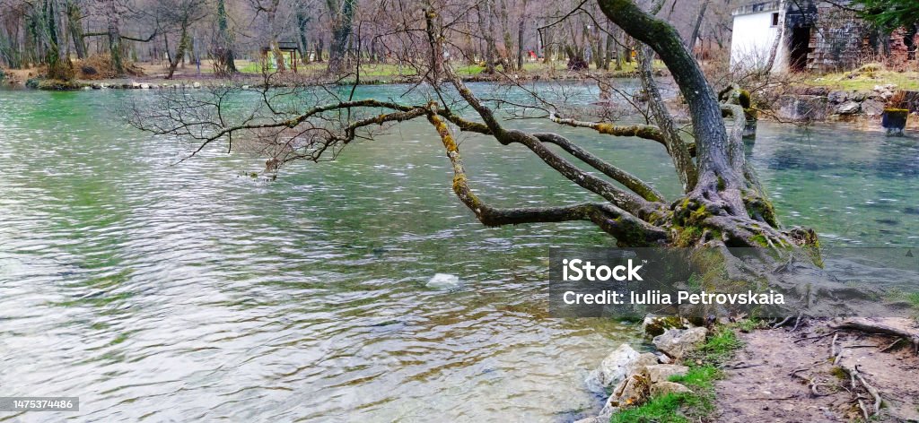 Miliacka Sarajevo Bosnien Und Herzegowina Quellen Des Milackiflusses In