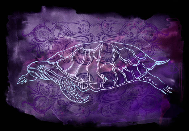 turtlelegance ink and watercolor art python-egg stock illustrations