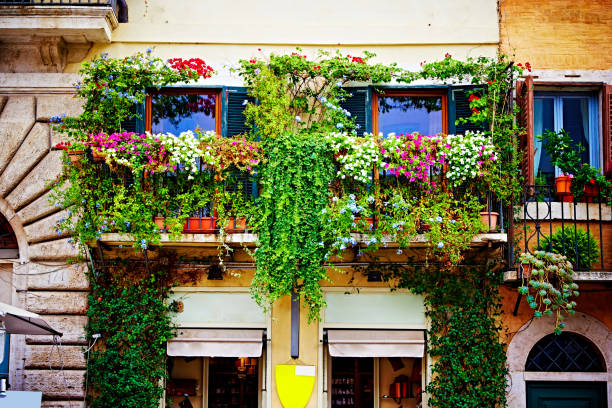balconi pieni di fiori e verde decorano case e strade a roma, italia - balcony rome window ornate foto e immagini stock