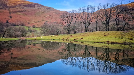 Catbells from Derwent Water, with the hills reflected in still water