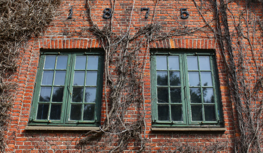 Brick house detail with two window and vines climbing the wall.