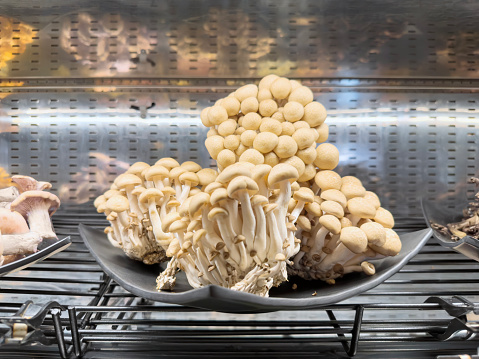 Beech mushrooms in a market retail display