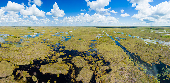Aerial view of the wetland of the Everglades National Park in Florida