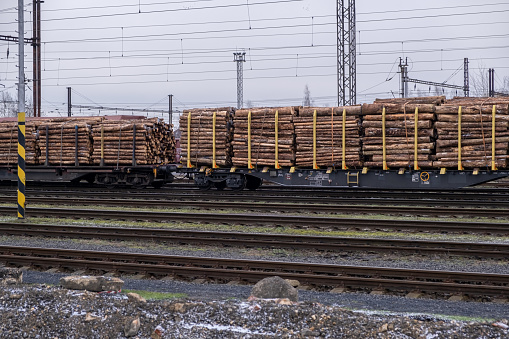 Freight train loaded with pine wood log trunks. Timber trading. Freight. Transportation of timber by rail.