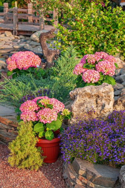 istock The cottage house exterior. 1475389229