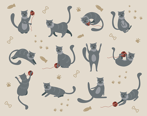 Gray cat on a beige background set. Vector illustration. The vector illustration depicts a playful and cozy scene where cats are seen participating in various activities such as playing and sleeping in different poses. The cats are portrayed in a whimsical and adorable style, with expressive cute faces. The illustration captures the essence of feline behavior, with the cats engaged in typical activities such as batting at a toy, grooming themselves, or simply napping. Overall, the vector illustration conveys a sense of warmth and comfort associated with cats, inviting the viewer to appreciate the beauty and charm of these beloved animals.