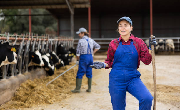 istock Young woman farmer posing while feeding cows at farm 1475392645