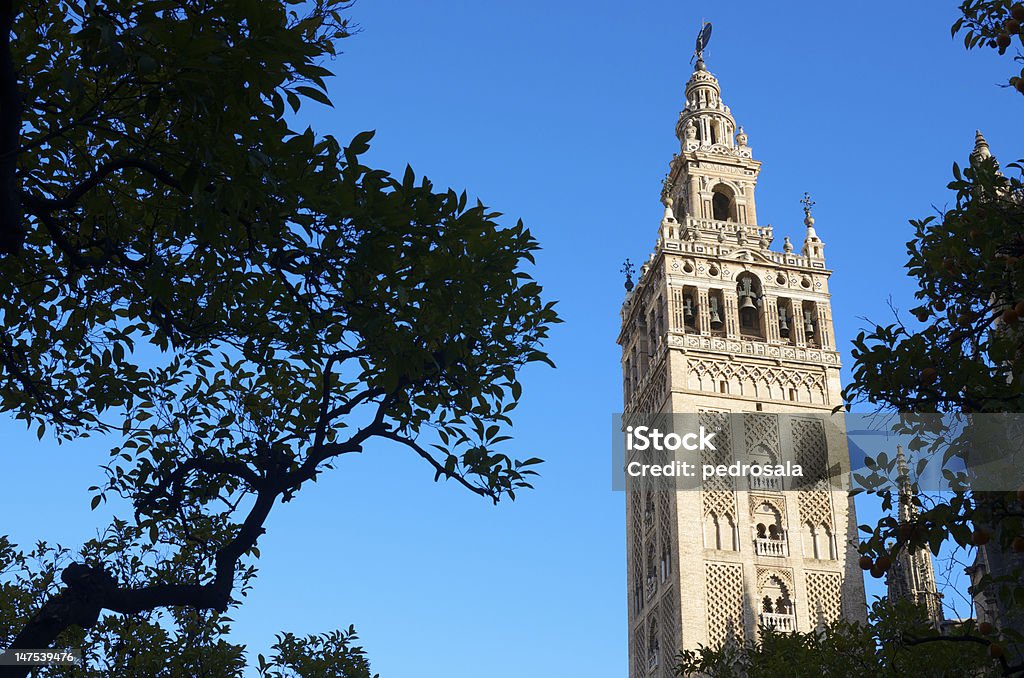 Giralda the tower of the cathedral known as the  Giralda, Seville, Andalucia, Spain Andalusia Stock Photo