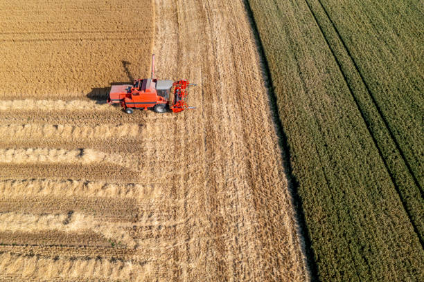 istock Red combine harvesterin the field, aerial view 1475395164