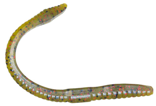 istock Yellow rubber artificial fishing worm 1475395224
