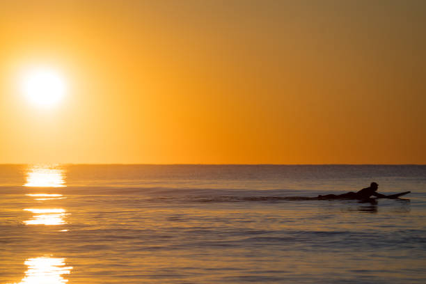 istock Surfer Swimming at Sunrise 1475396088