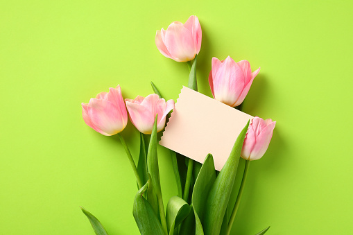 Happy Mother Day concept. Flat lay composition with tulips and greeting card mockup on green background