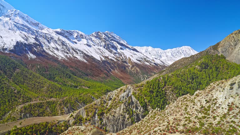 Mountainous natural landscape on the Annapurna mountain range with snowy peaks and lush foliage, Nepal