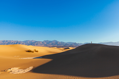 Little man standing on desert sand dune in early morning light. Photographed in Death Valley.